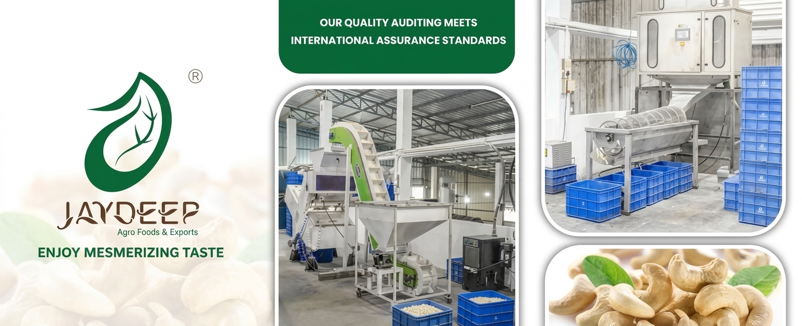 Gemini_Generated_Image_4drimd4drimd4dri