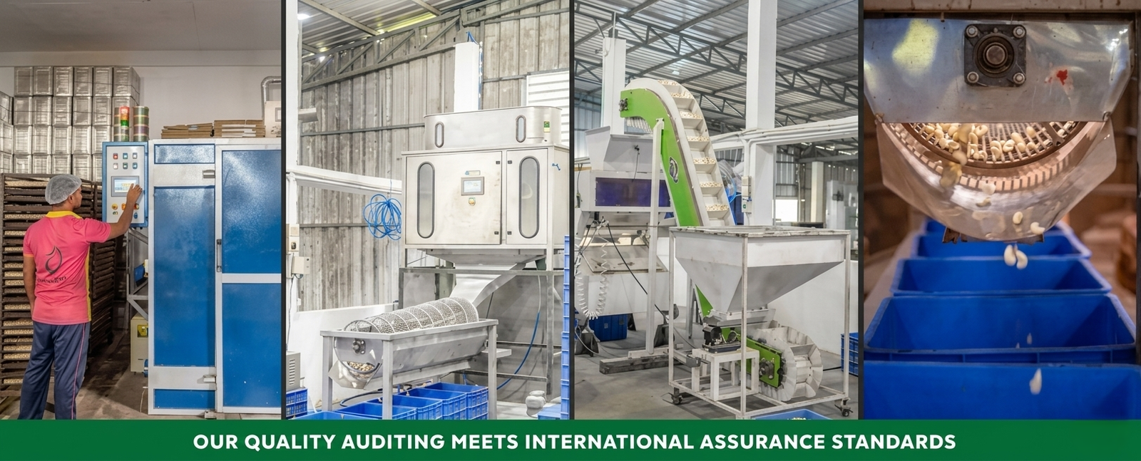 Gemini_Generated_Image_6ggjh66ggjh66ggj